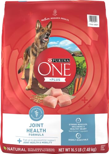 Purina ONE Plus kibble crujiente: calcio para dientes sanos y encías