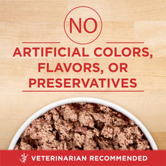 Purina ONE Plus lata de pavo y cebada, imagen de servicio para perros senior.