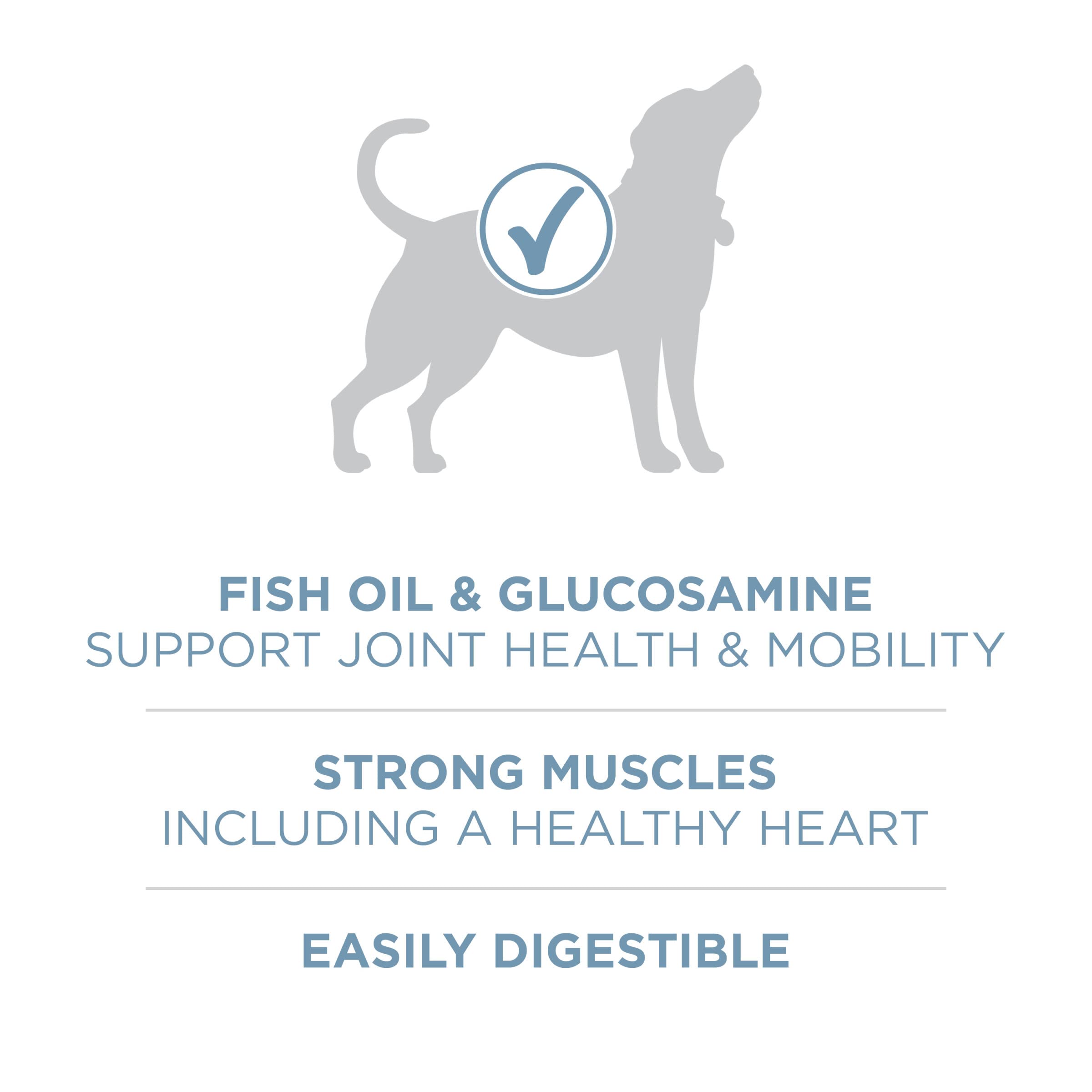 Purina ONE Plus nutrientes: vitaminas y minerales para desarrollo equilibrado