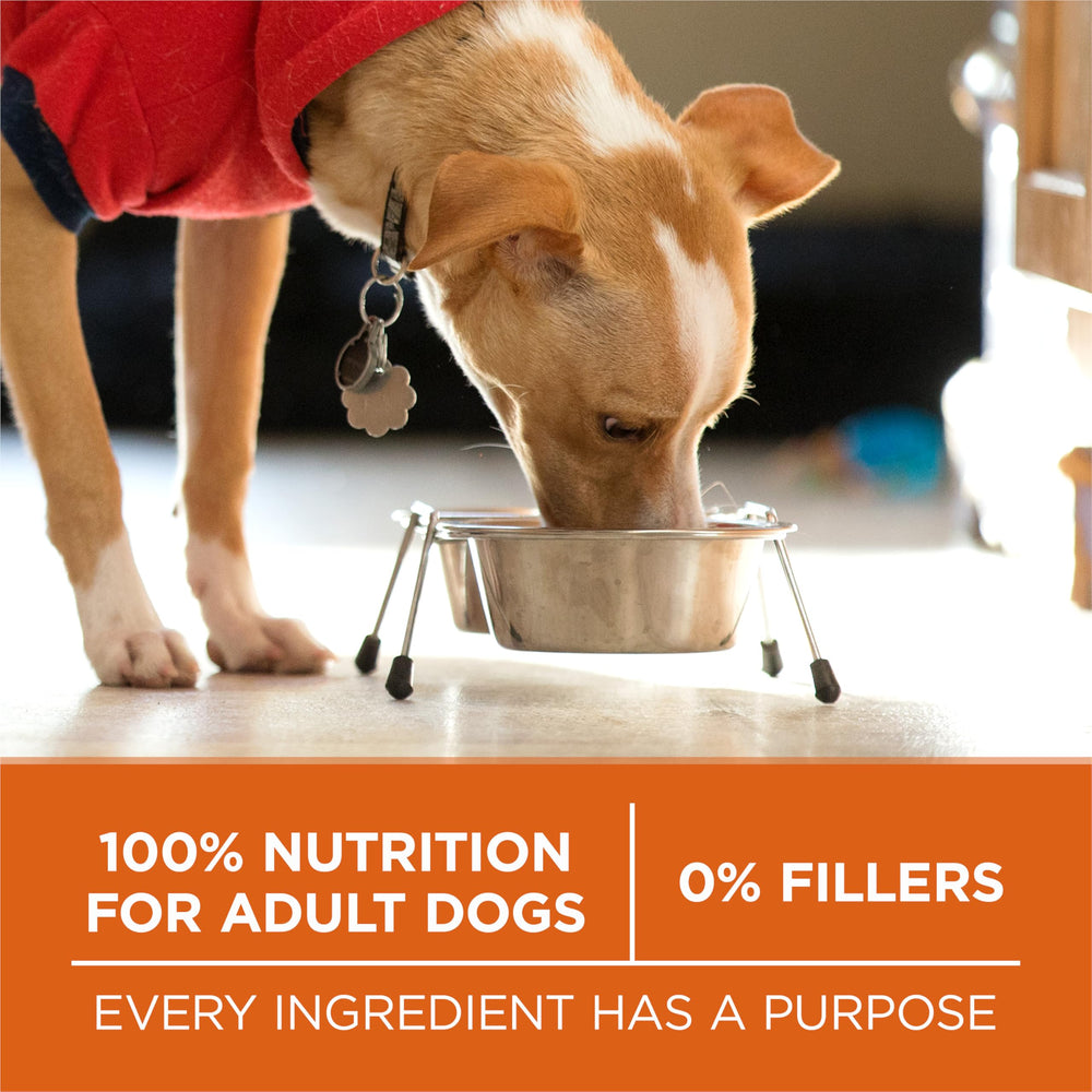 Purina ONE Plus Omega-6: piel brillante y pelaje saludable.