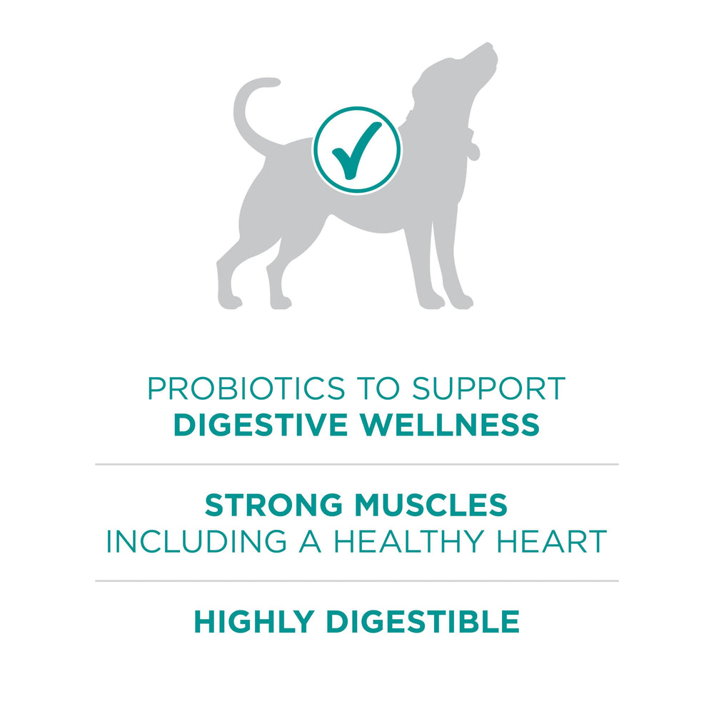 Purina One Plus probióticos digestivos para apoyo intestinal