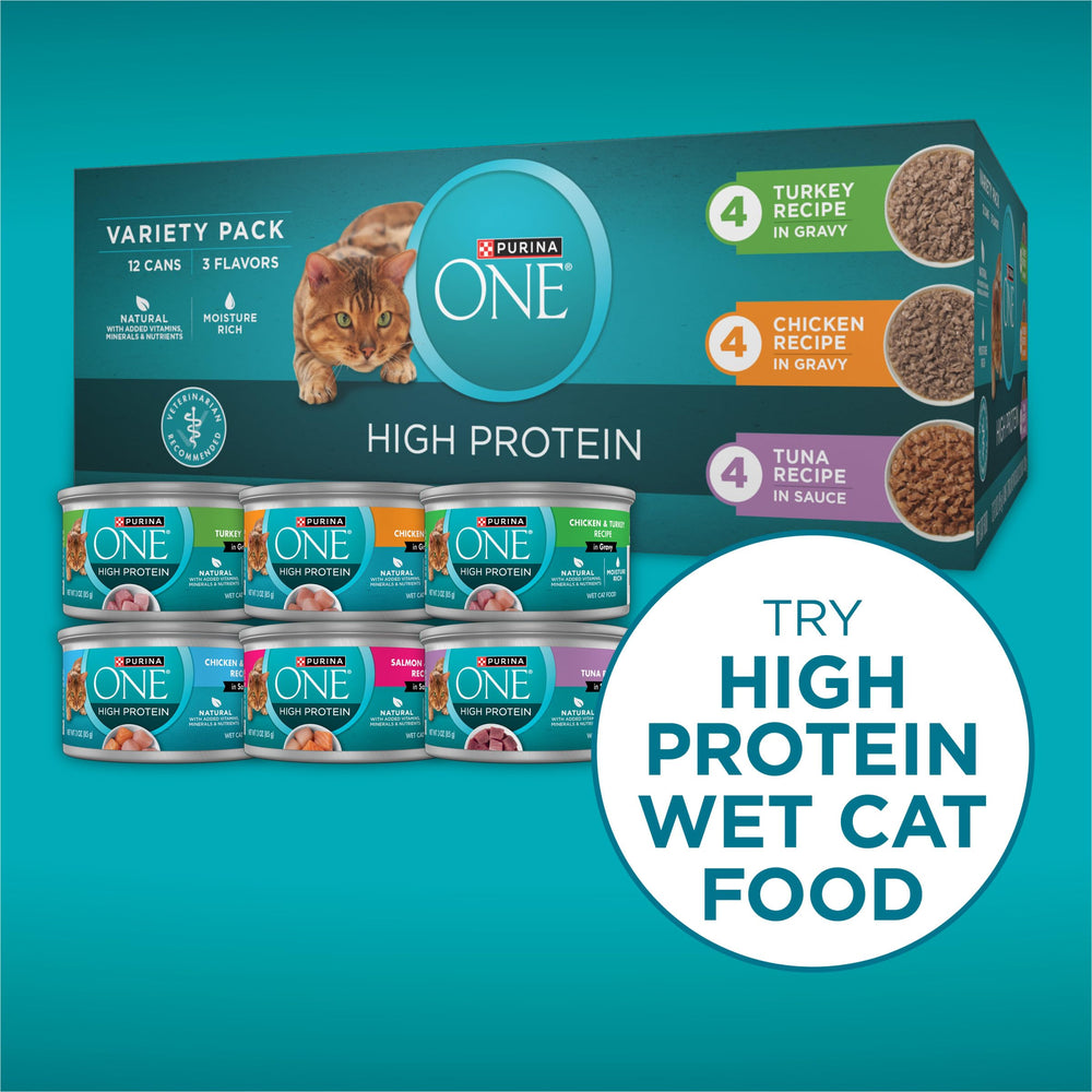 Purina ONE Plus sabor a salmón y océano para gatos.