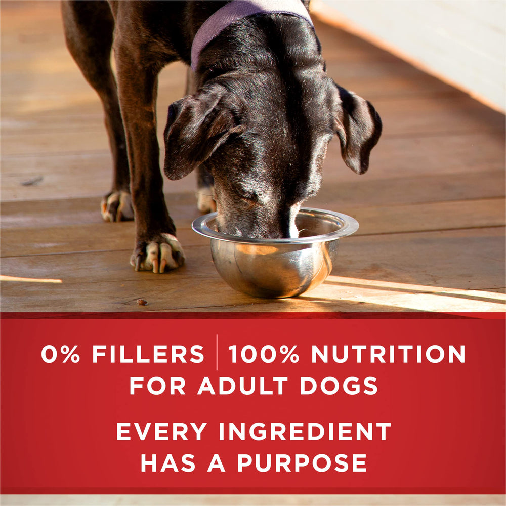 Purina ONE Plus sin subproductos avícolas, fórmula limpia para mayores.