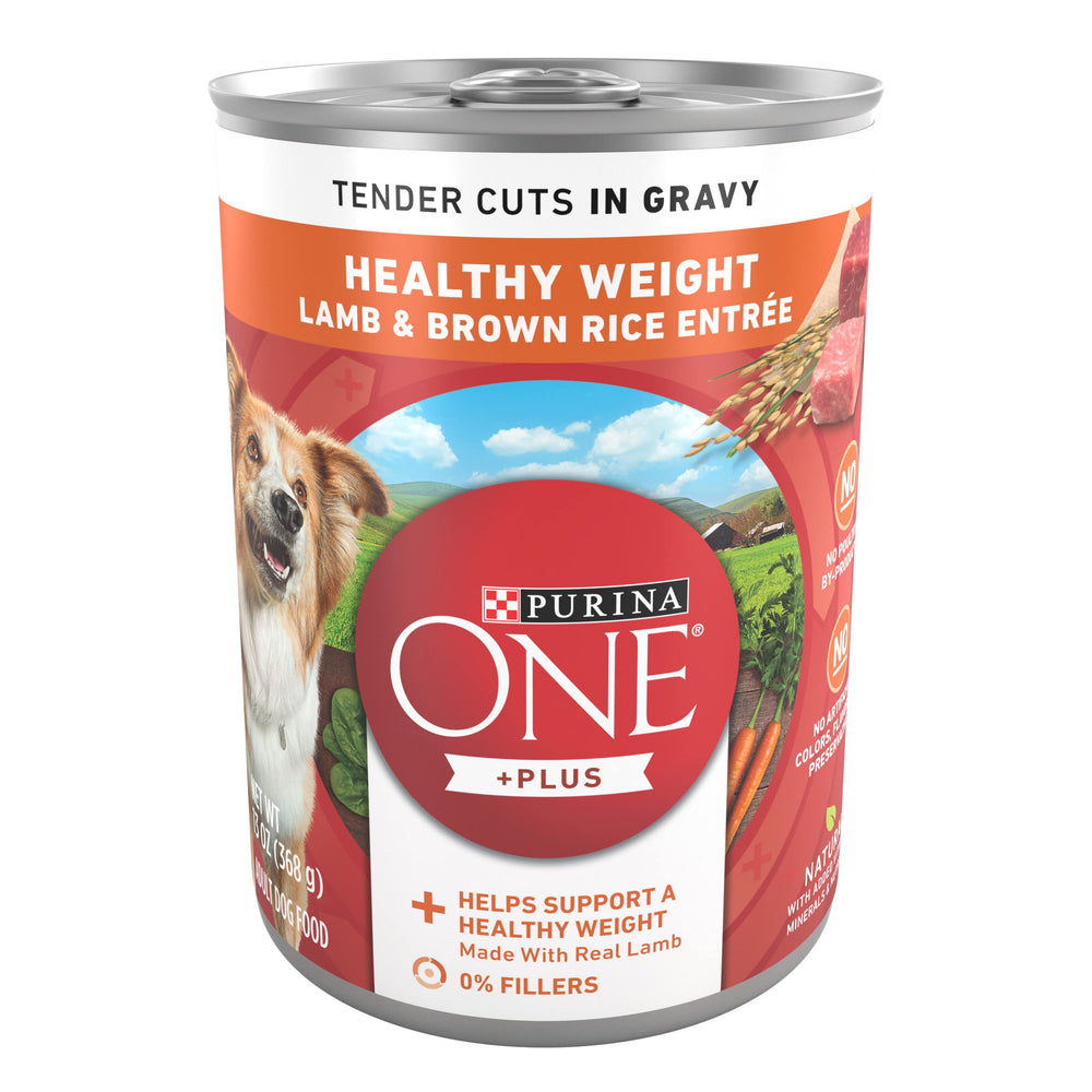 Purina ONE Plus trozos tiernos en salsa con cordero y arroz para sabor y humedad.