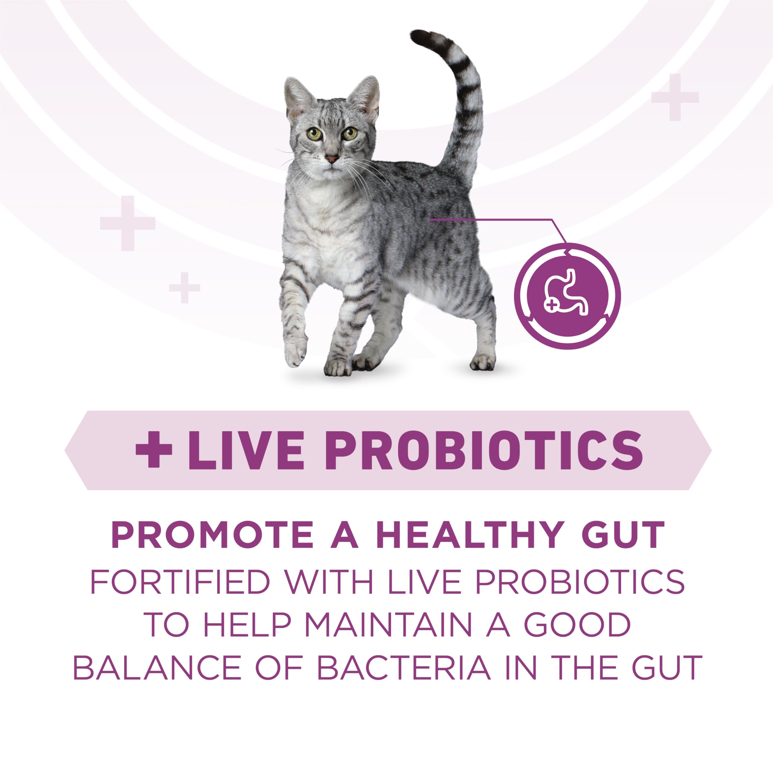 Purina ONE Plus vitaminas y minerales para piel y pelaje saludables.