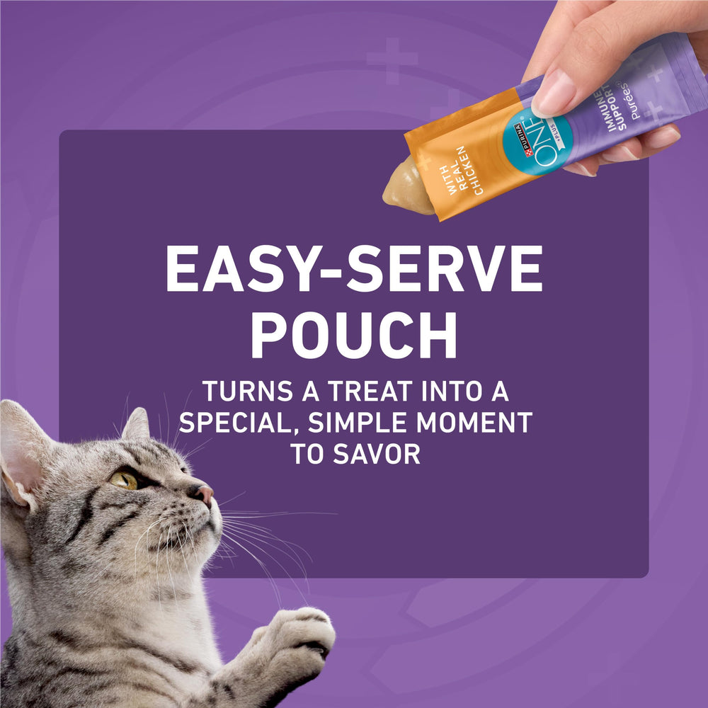 Purina ONE Purees ayuda a fortalecer el vínculo durante momentos de juego y alimentación.