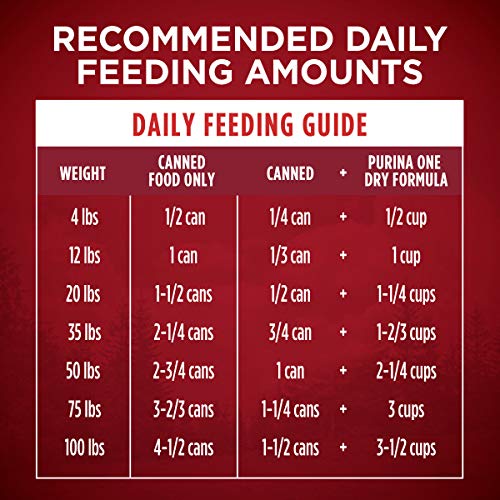 Purina ONE recomendado por veterinarios para alimentación diaria de perros.