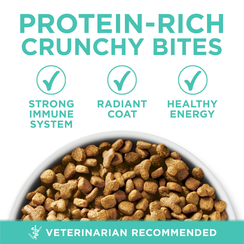 Purina ONE sabor crujiente de pavo para gatos
