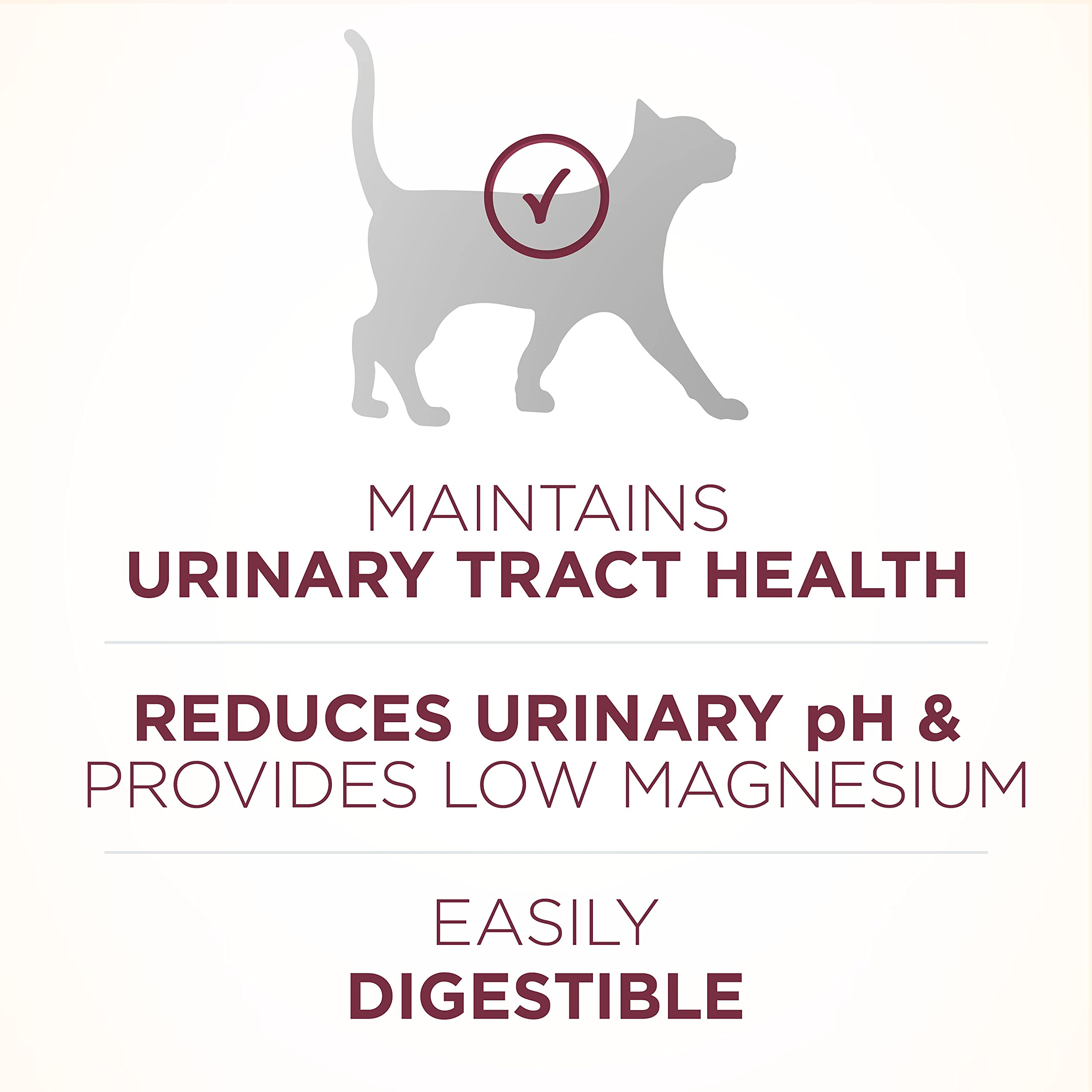 Purina ONE SmartBlend digestibilidad, croquetas para gato