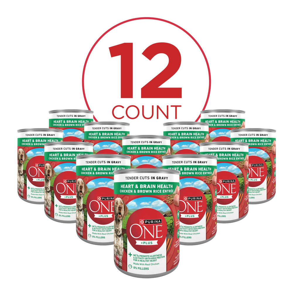 Purina ONE Tender Cuts Arroz Integral, ingrediente natural destacado para nutrición equilibrada.