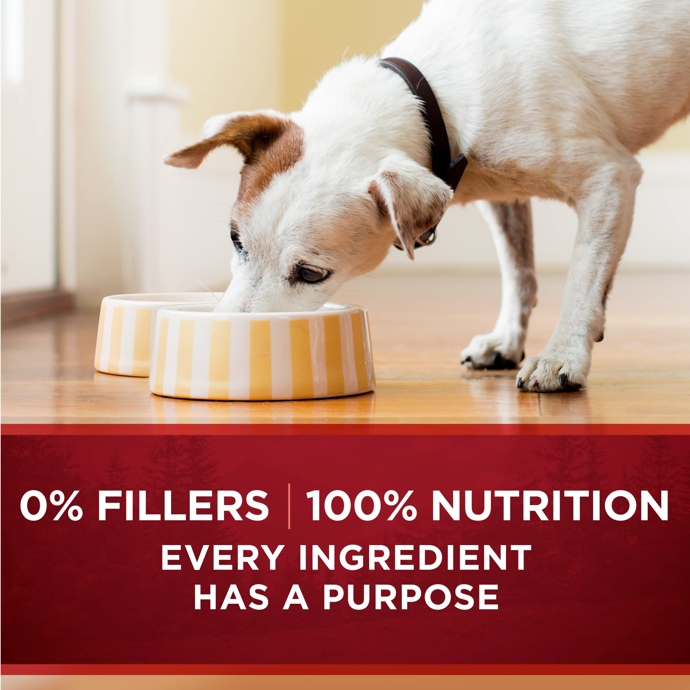 Purina ONE trozos tiernos en salsa carne, textura atractiva para perros adultos.
