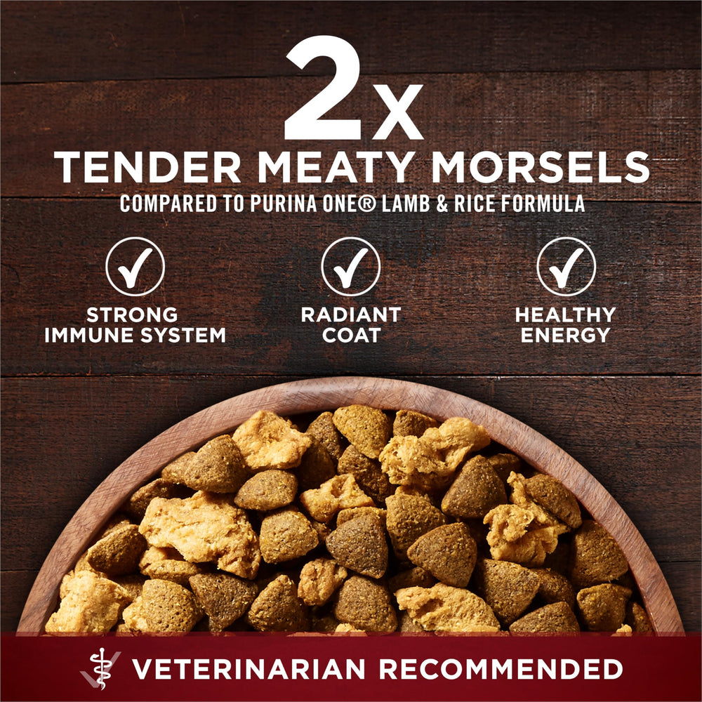 Purina ONE True Instinct omega-6 y antioxidantes para piel sana y pelaje brillante.