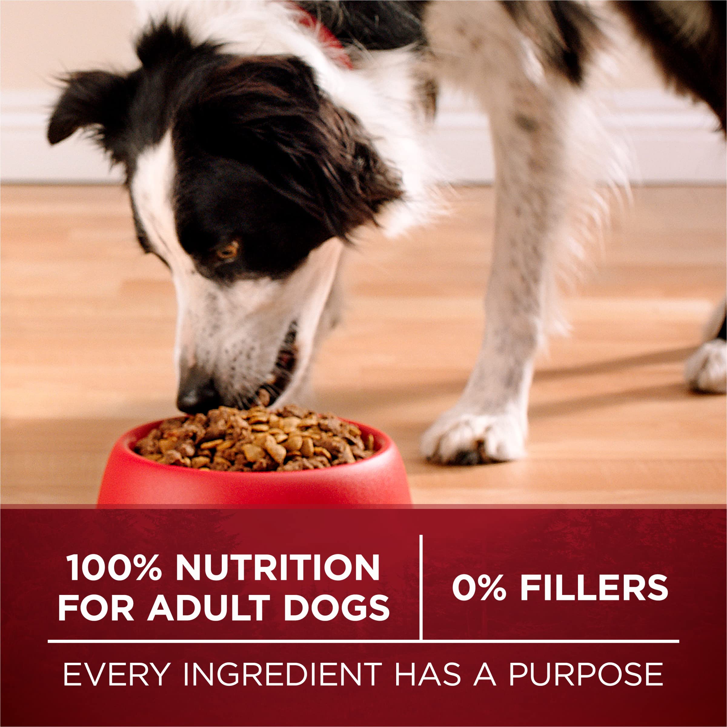 Purina ONE True Instinct omega 6 para piel suave y pelaje radiante.