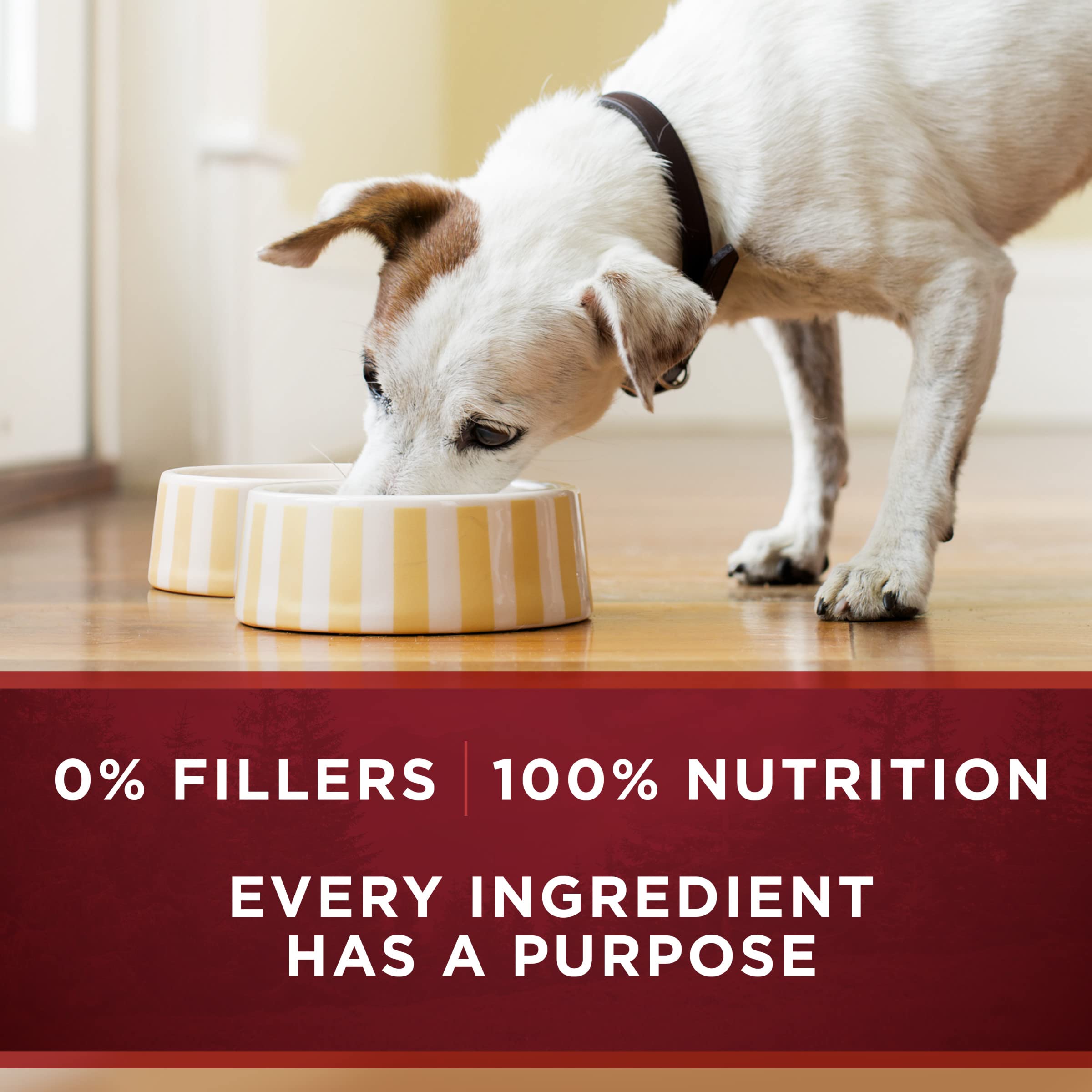 Purina ONE True Instinct, sin colorantes ni conservantes artificiales.