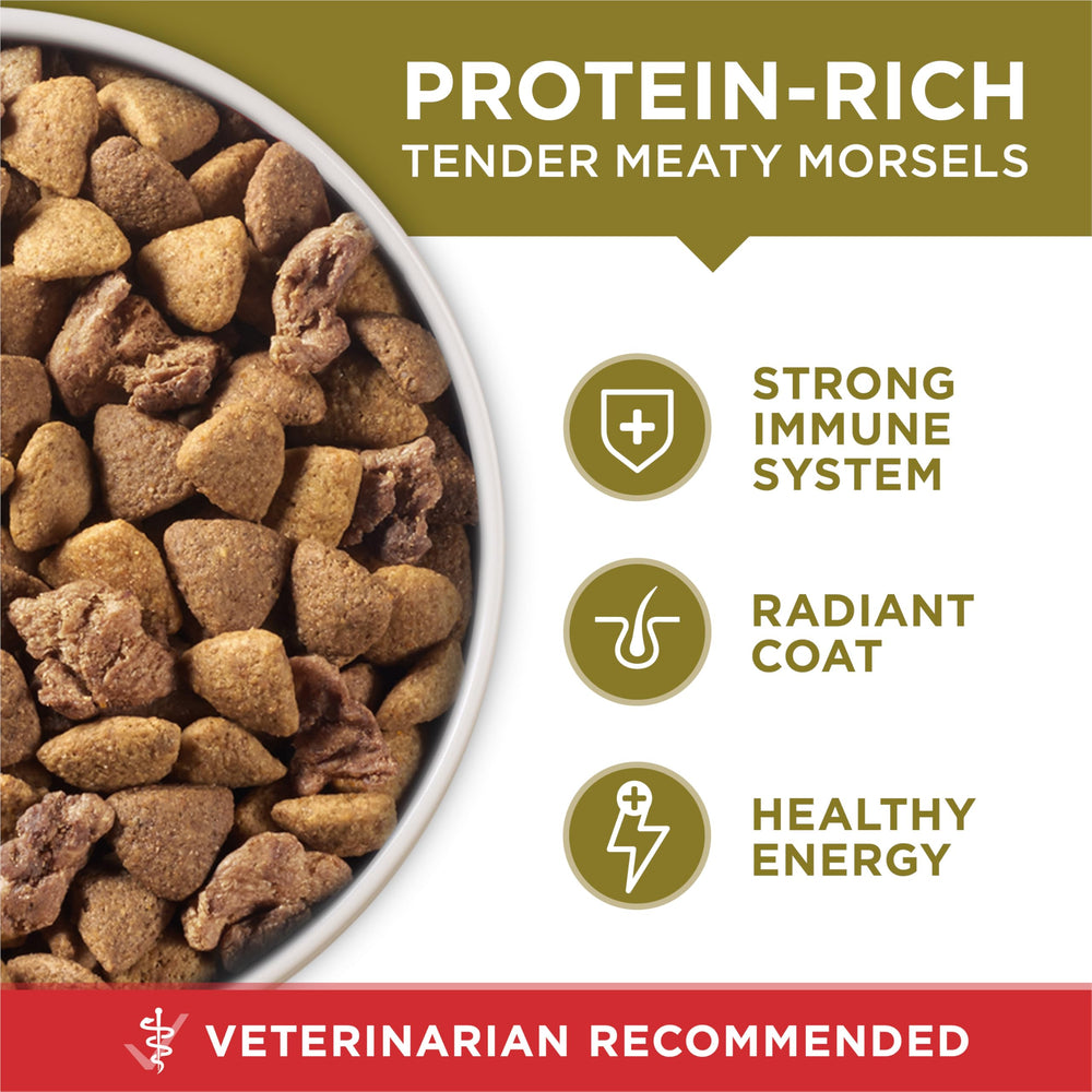 Vitaminas A y E en Purina ONE para ojos y piel sanos.