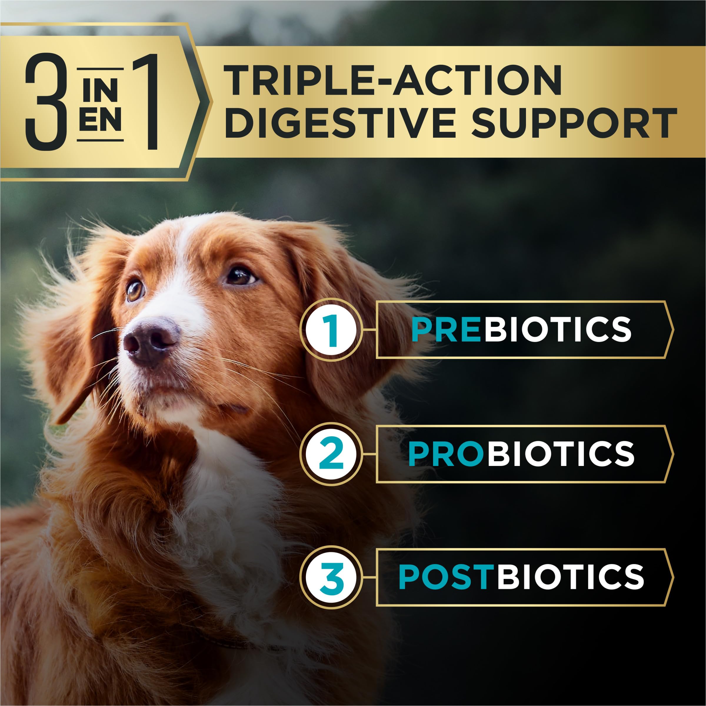 Purina Pro Plan AdvantEDGE Digestivo: antioxidantes para el apoyo inmunitario.