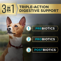 Purina Pro Plan AdvantEDGE salmón primer ingrediente, fórmula sin maíz trigo ni soya.