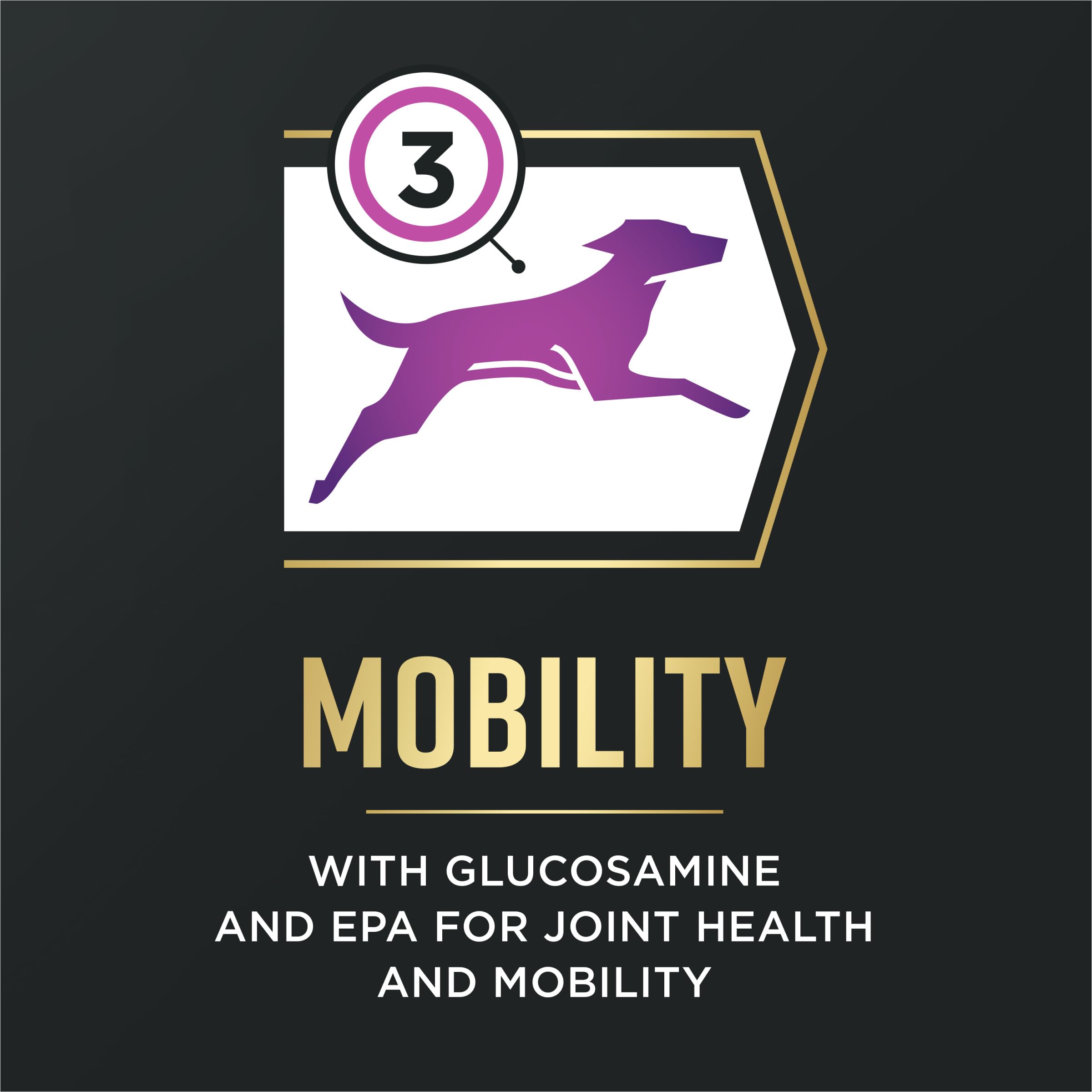 Purina Pro Plan AdvantEDGE Senior Support Plus inmunidad para perros mayores