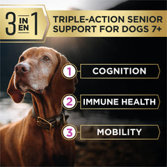 Purina Pro Plan AdvantEDGE Senior Support Plus, probióticos que favorecen la salud digestiva.