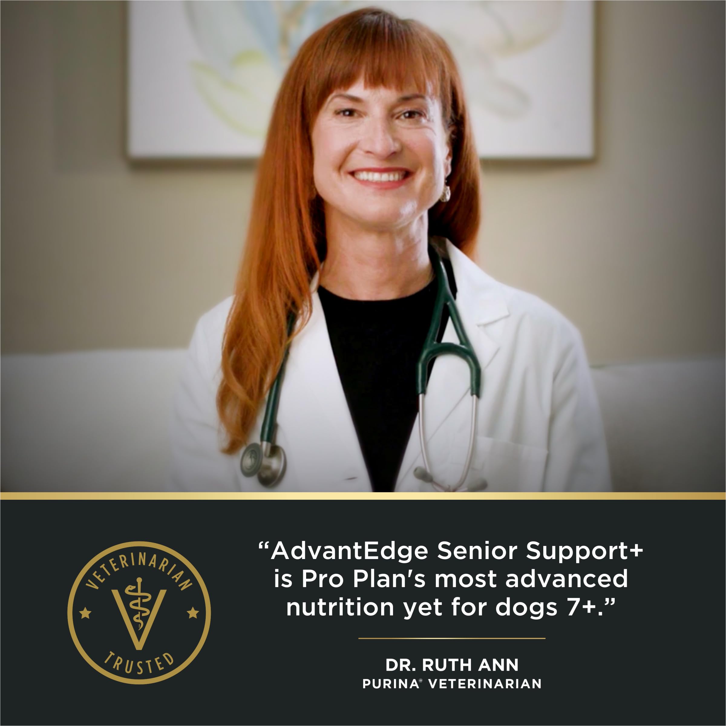 Purina Pro Plan AdvantEDGE Senior Support Plus, rutina diaria recomendada para perros seniors.