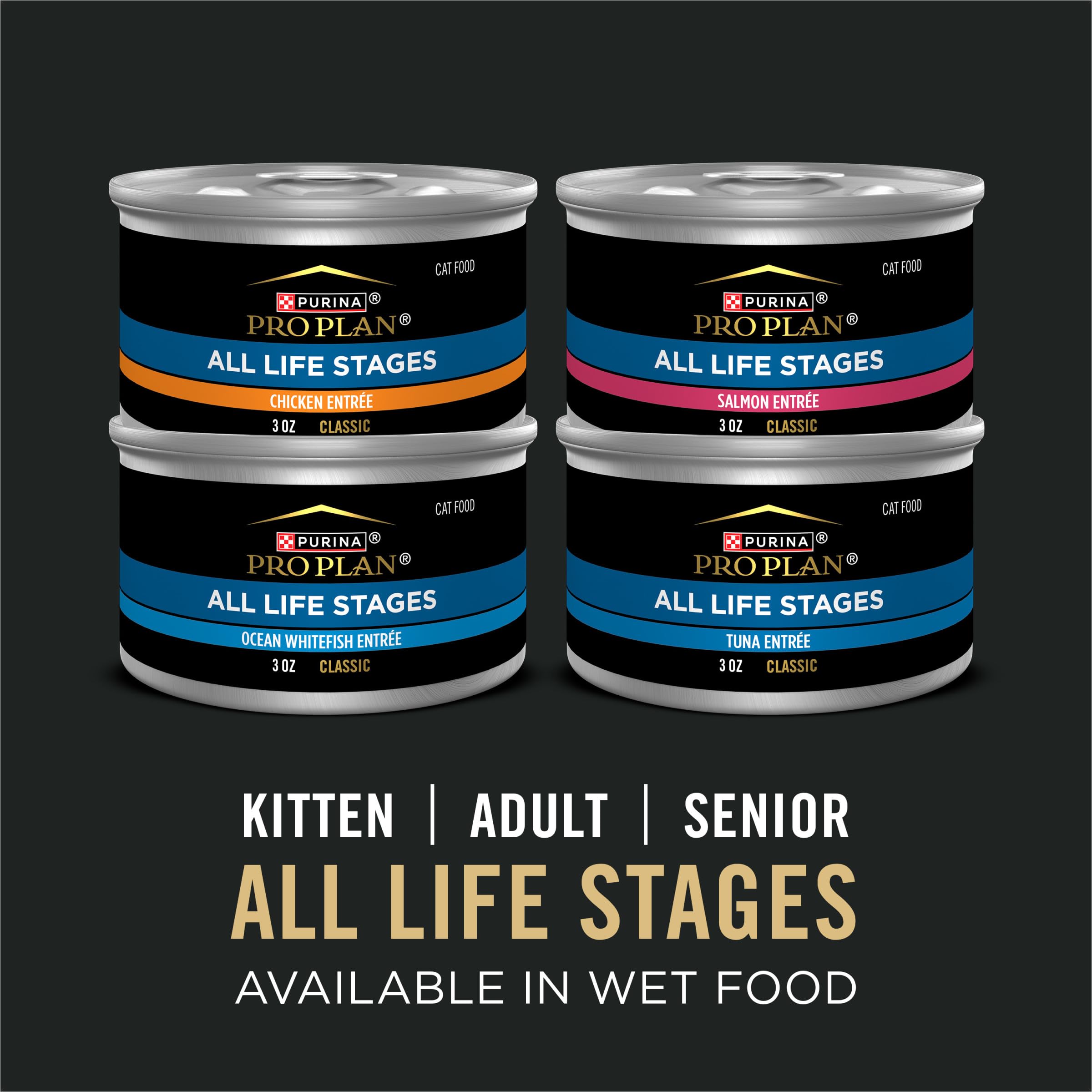 Purina Pro Plan All Life Stages multi-gatos degustando croquetas en cuenco.