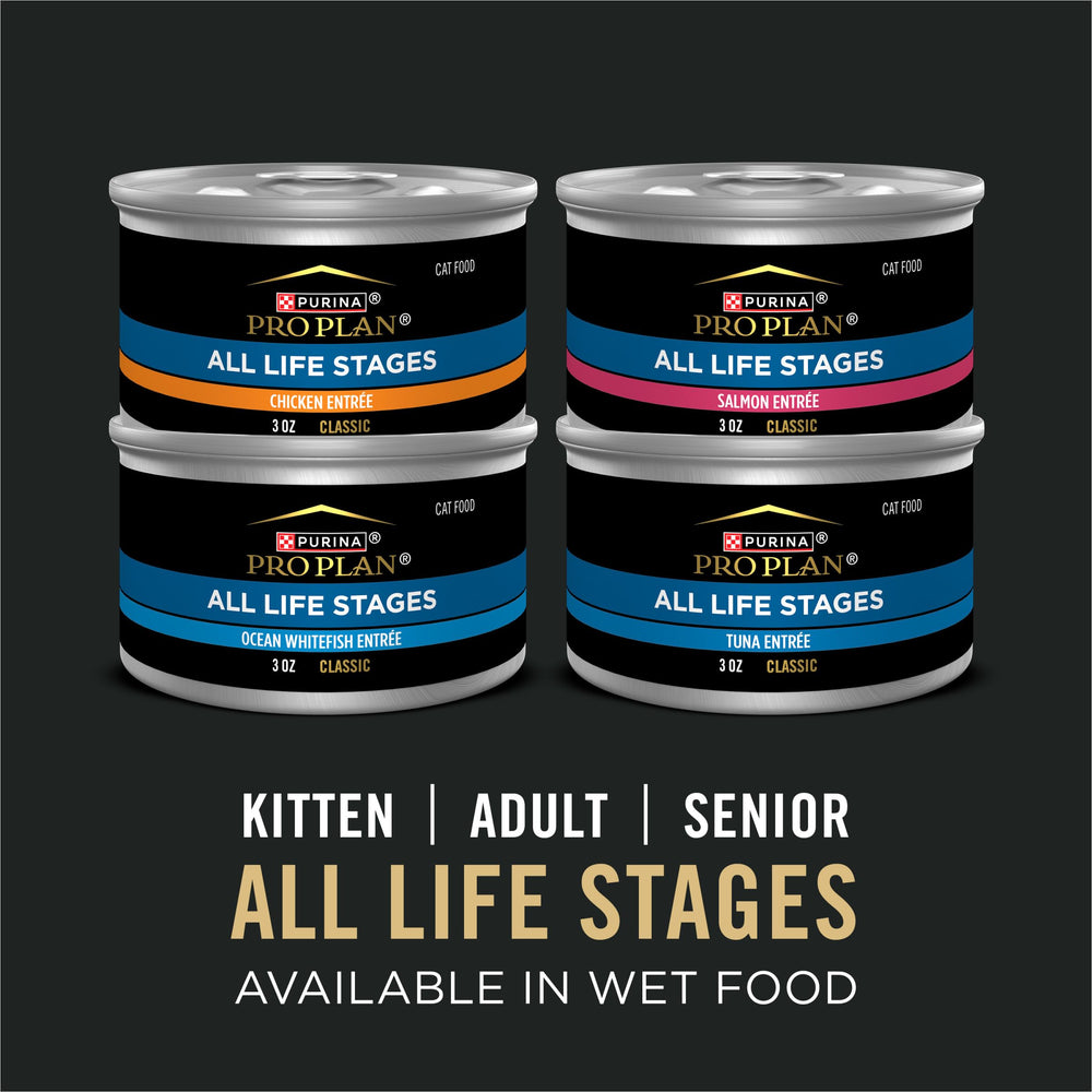 Purina Pro Plan All Life Stages multi-gatos degustando croquetas en cuenco.