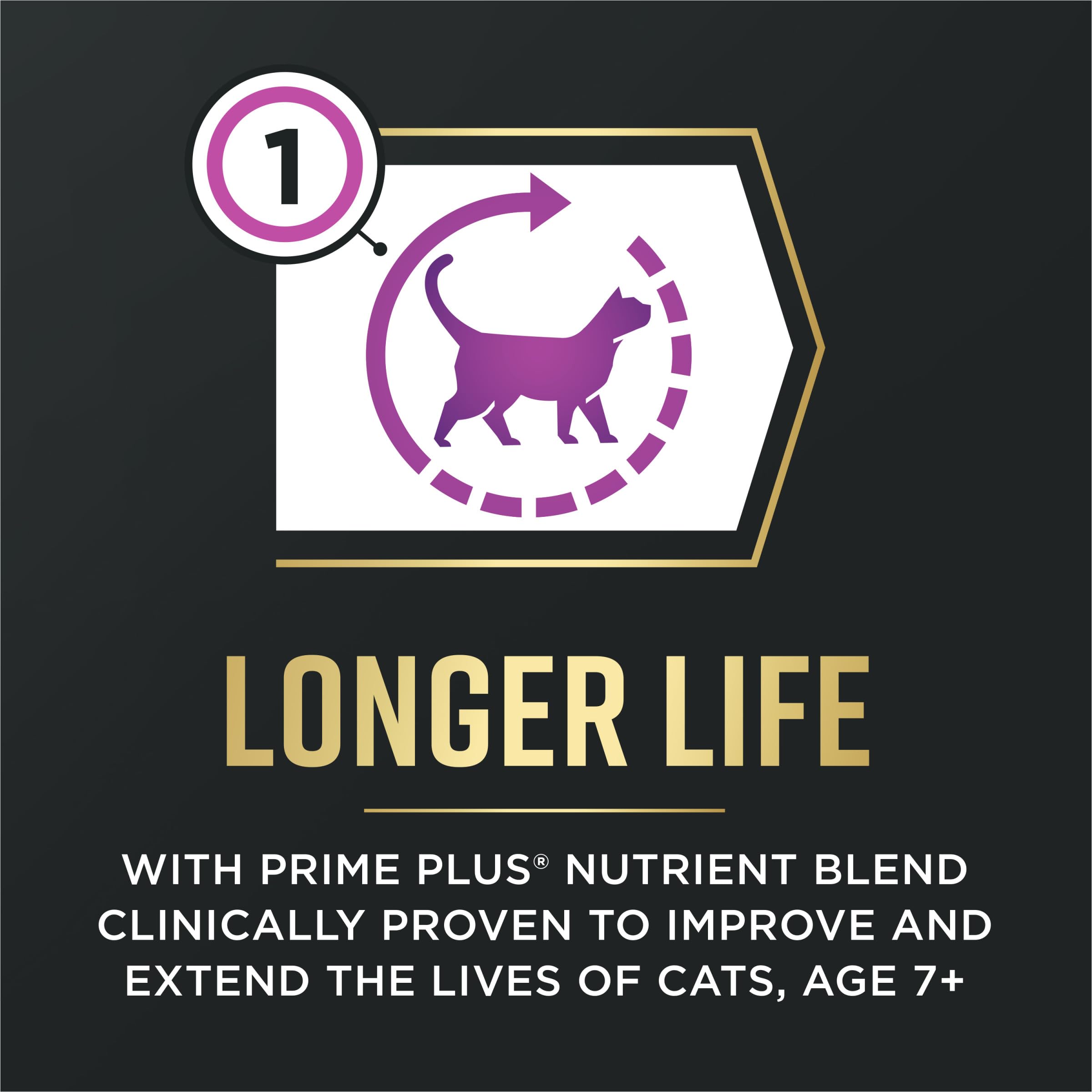 Purina Pro Plan AvantEDGE Senior Support, probióticos para salud digestiva.