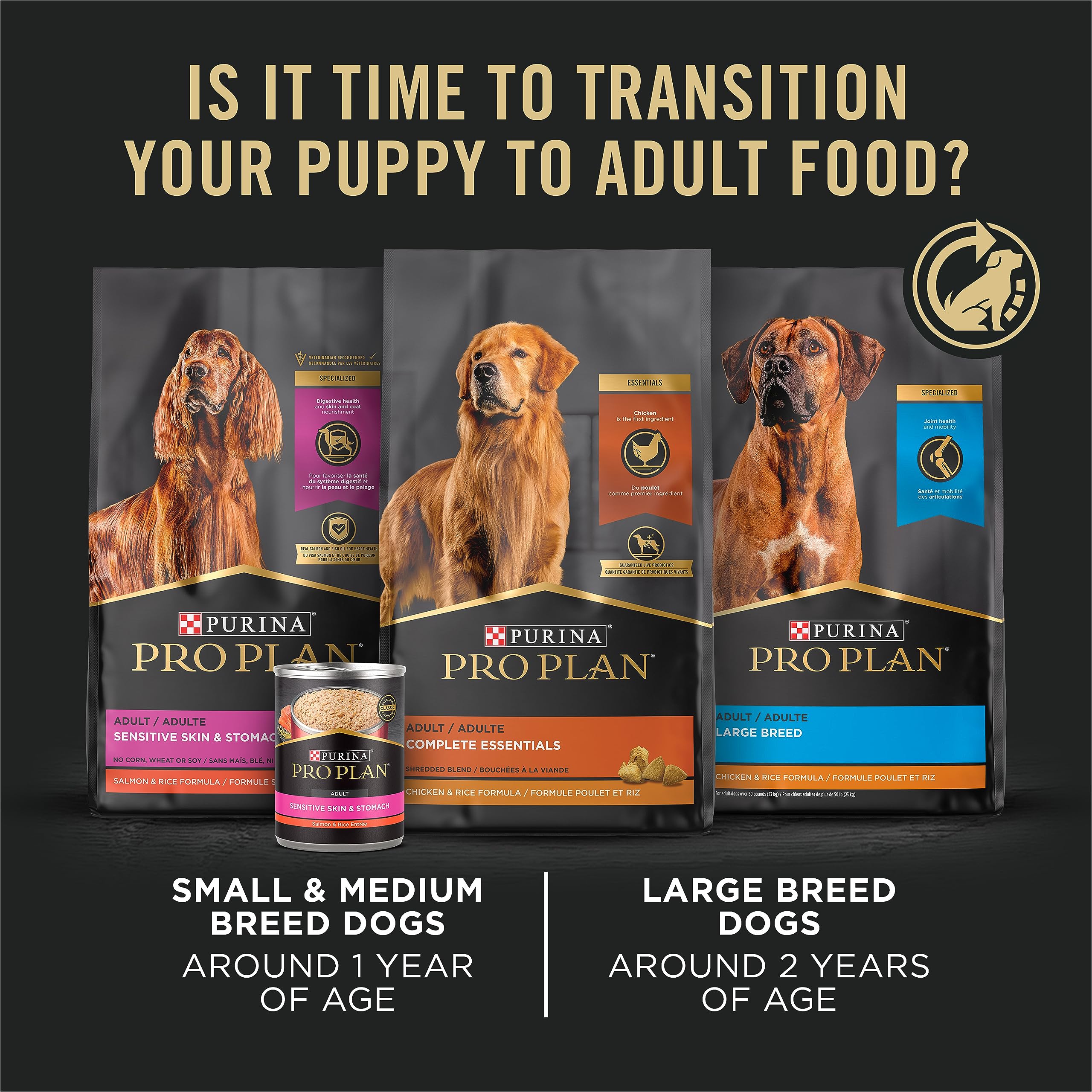 Purina Pro Plan Cachorro: porciones recomendadas para una dieta equilibrada.