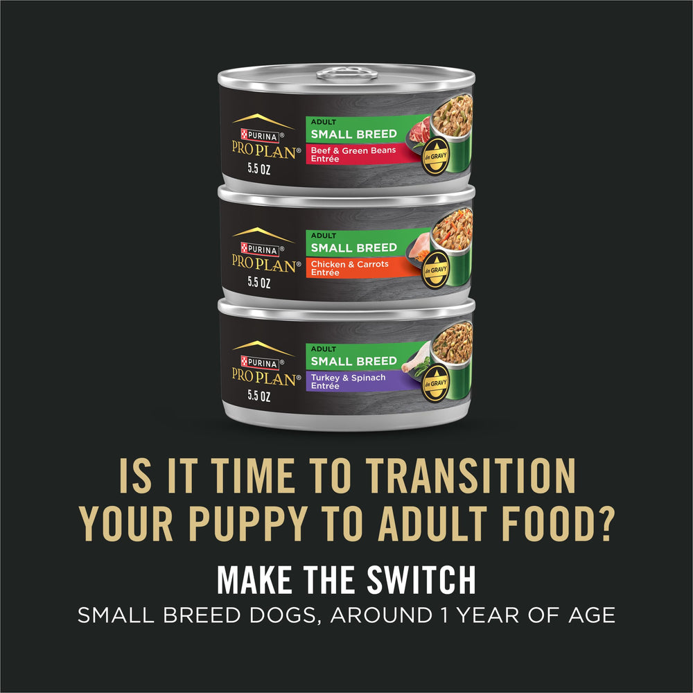 Purina Pro Plan cachorros de raza pequeña muestra brillo del pelaje por nutrición equilibrada.