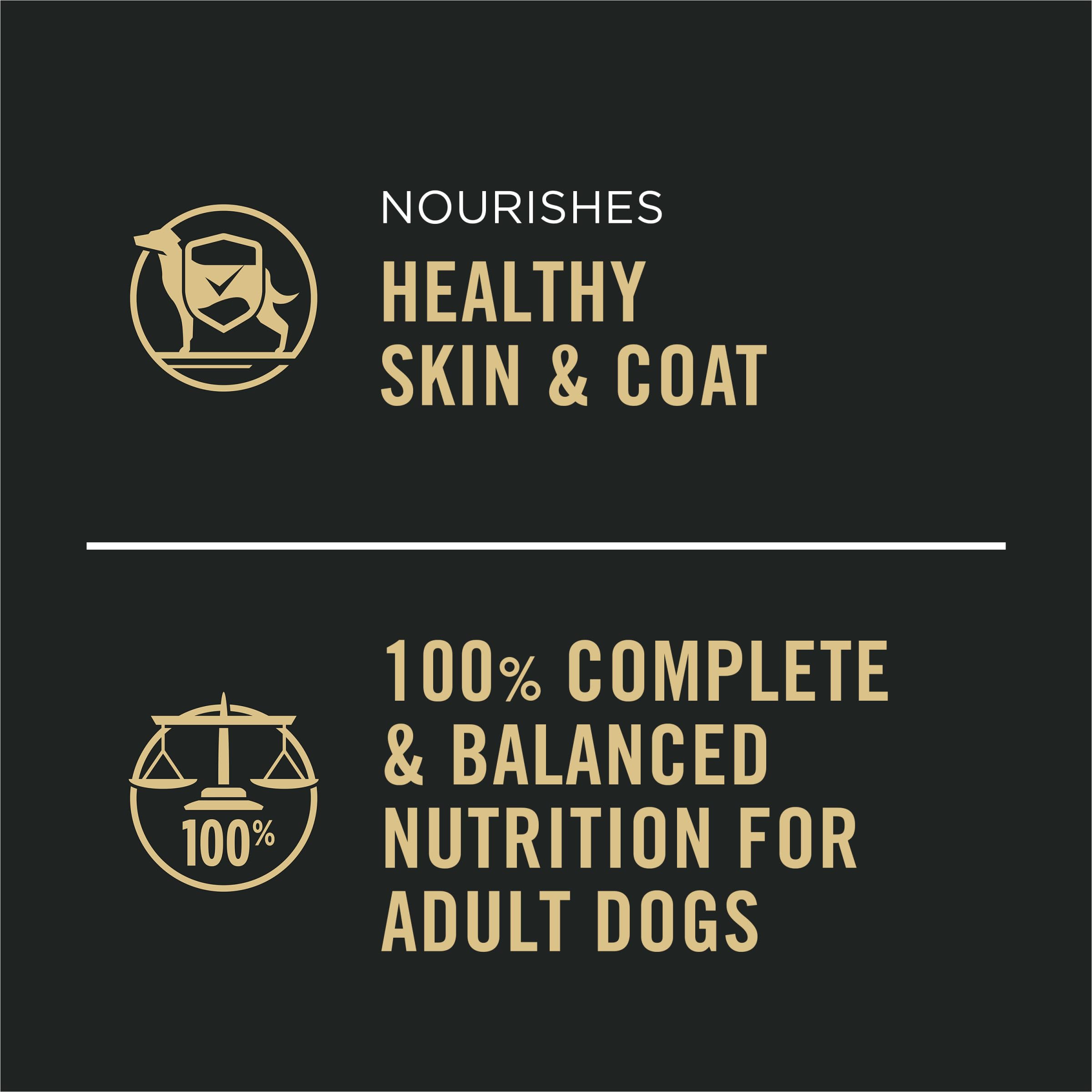 Purina Pro Plan Complete Essentials: estuche de 12 latas para variedad diaria.