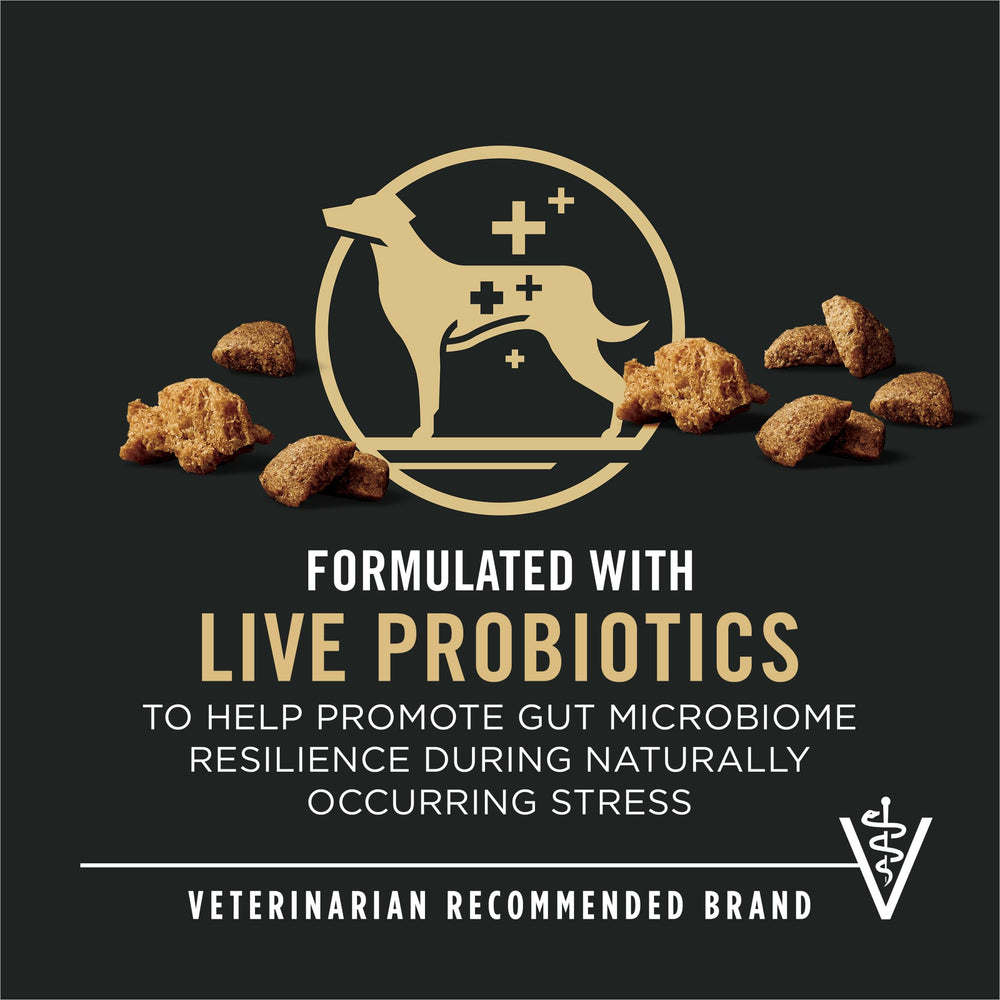 Purina Pro Plan Complete Essentials, croquetas crujientes y trozos desmenuzados para textura atractiva