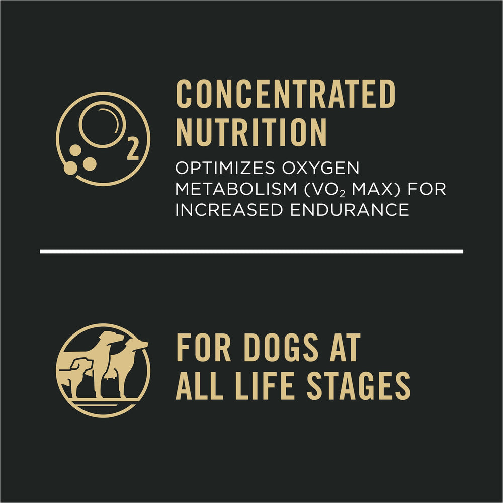 Purina Pro Plan Deporte, croquetas antioxidantes fortalecen la inmunidad natural.