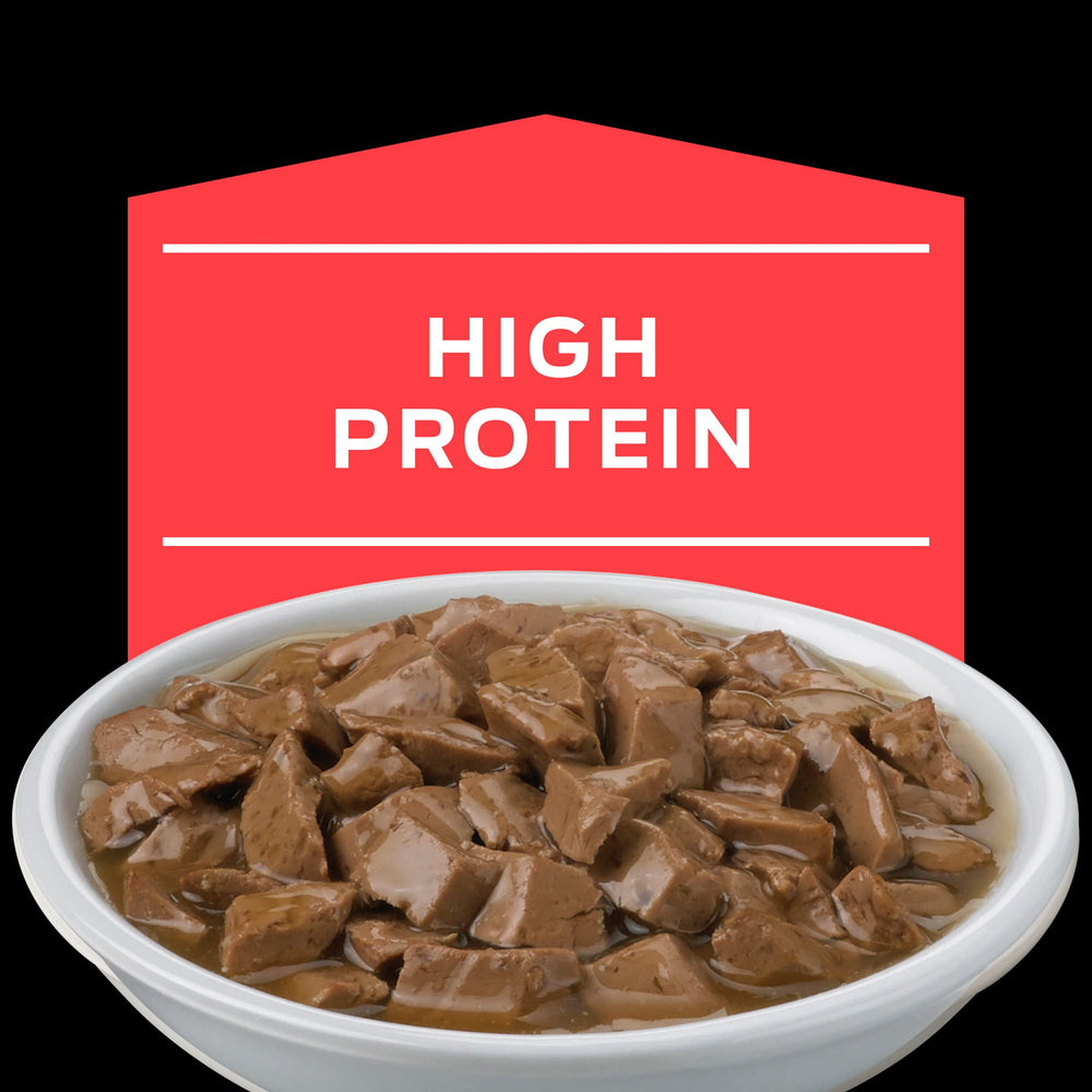 Purina Pro Plan Veterinary Diets DM plato de gato, formato sabroso para comer