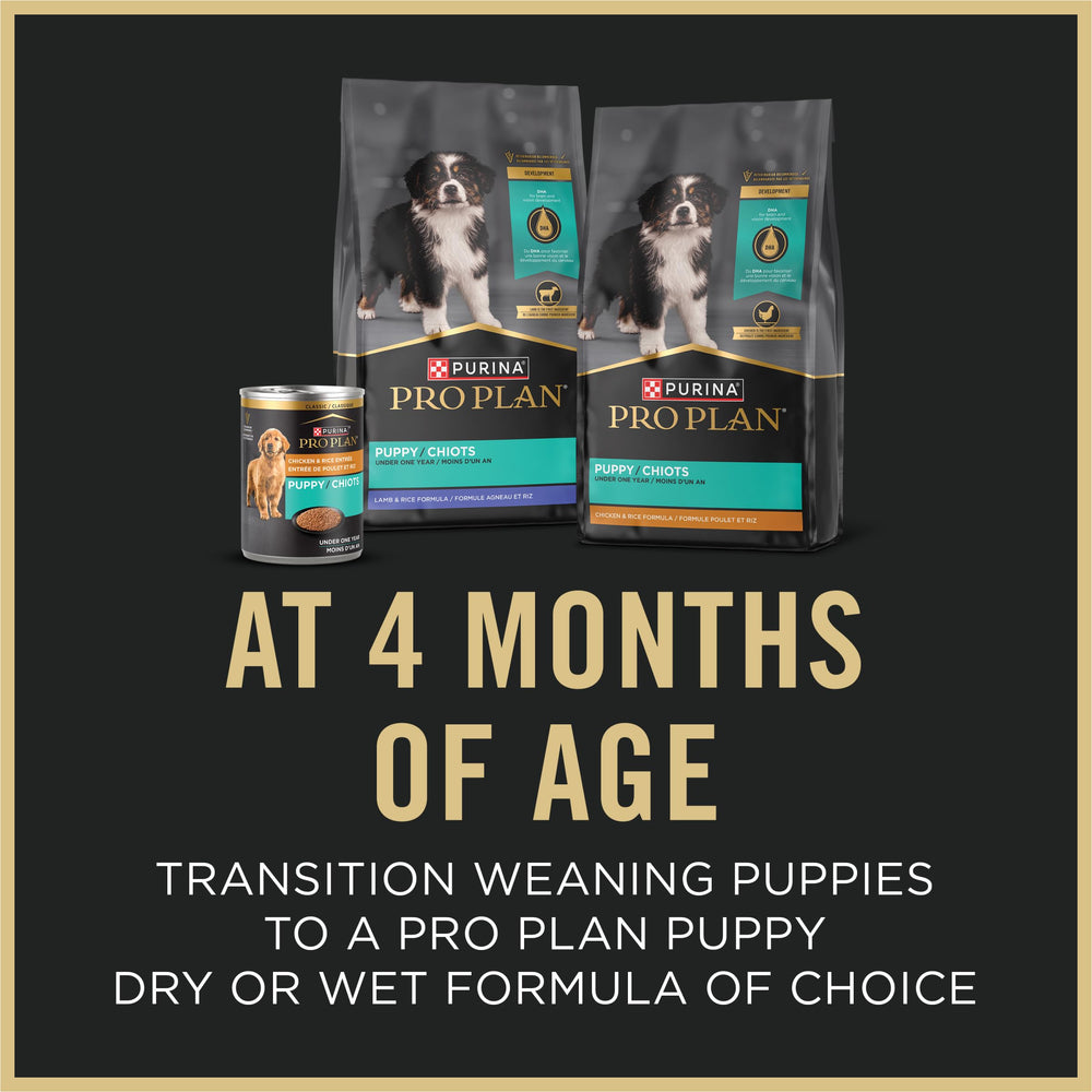 Purina Pro Plan envase de 24 latas, conveniencia para familias