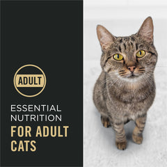 Purina Pro Plan Esenciales Completos: probióticos vivos para digestión e inmunidad