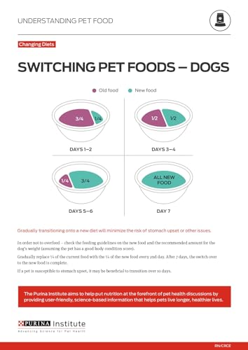 Purina Pro Plan experiencia de comida premium con sabor y textura atractiva para perros activos