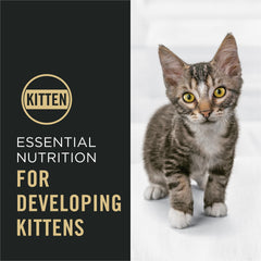Purina Pro Plan Gatito – probióticos vivos para apoyo digestivo