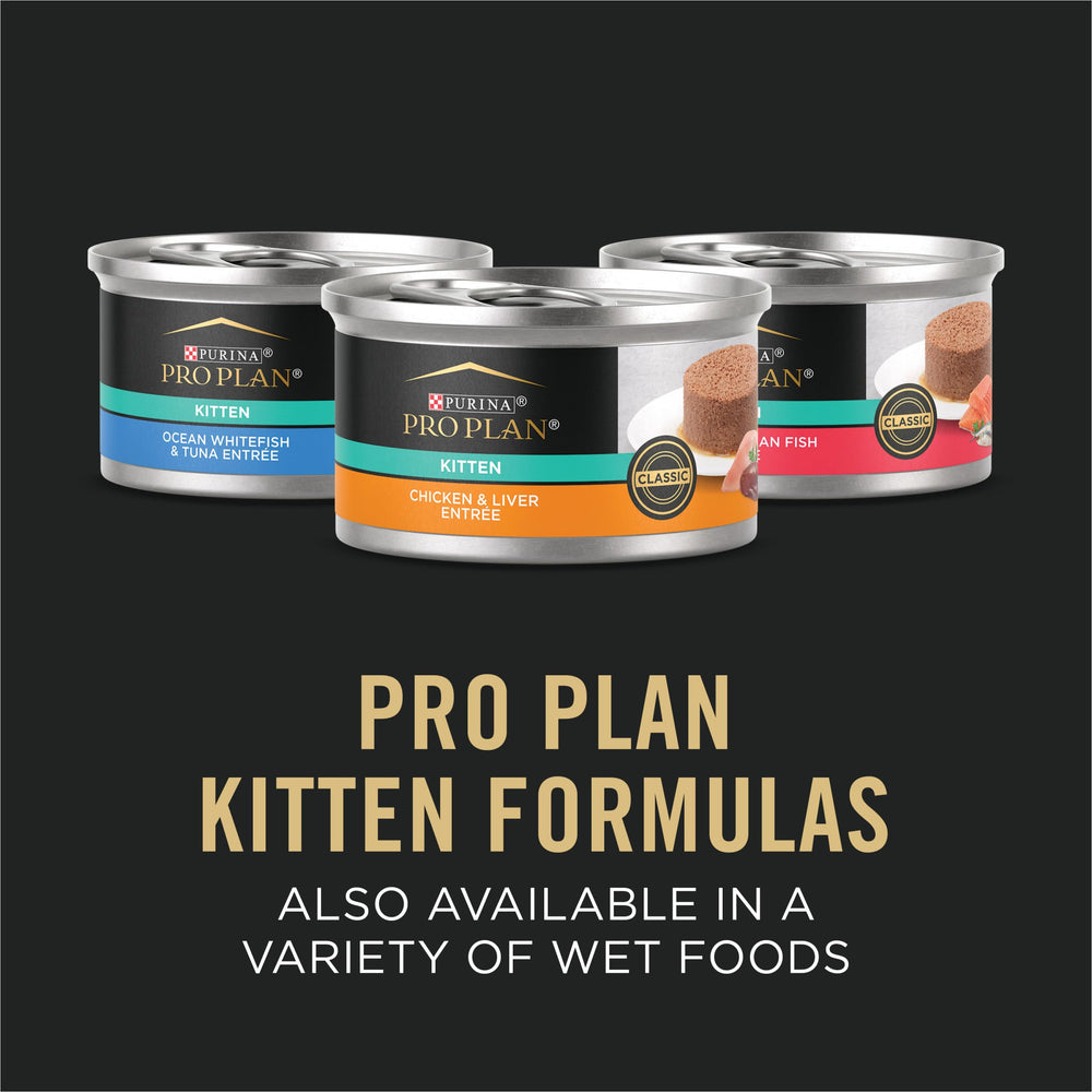Purina Pro Plan Gatito sabor pollo-arroz, alimento completo para gatitos.