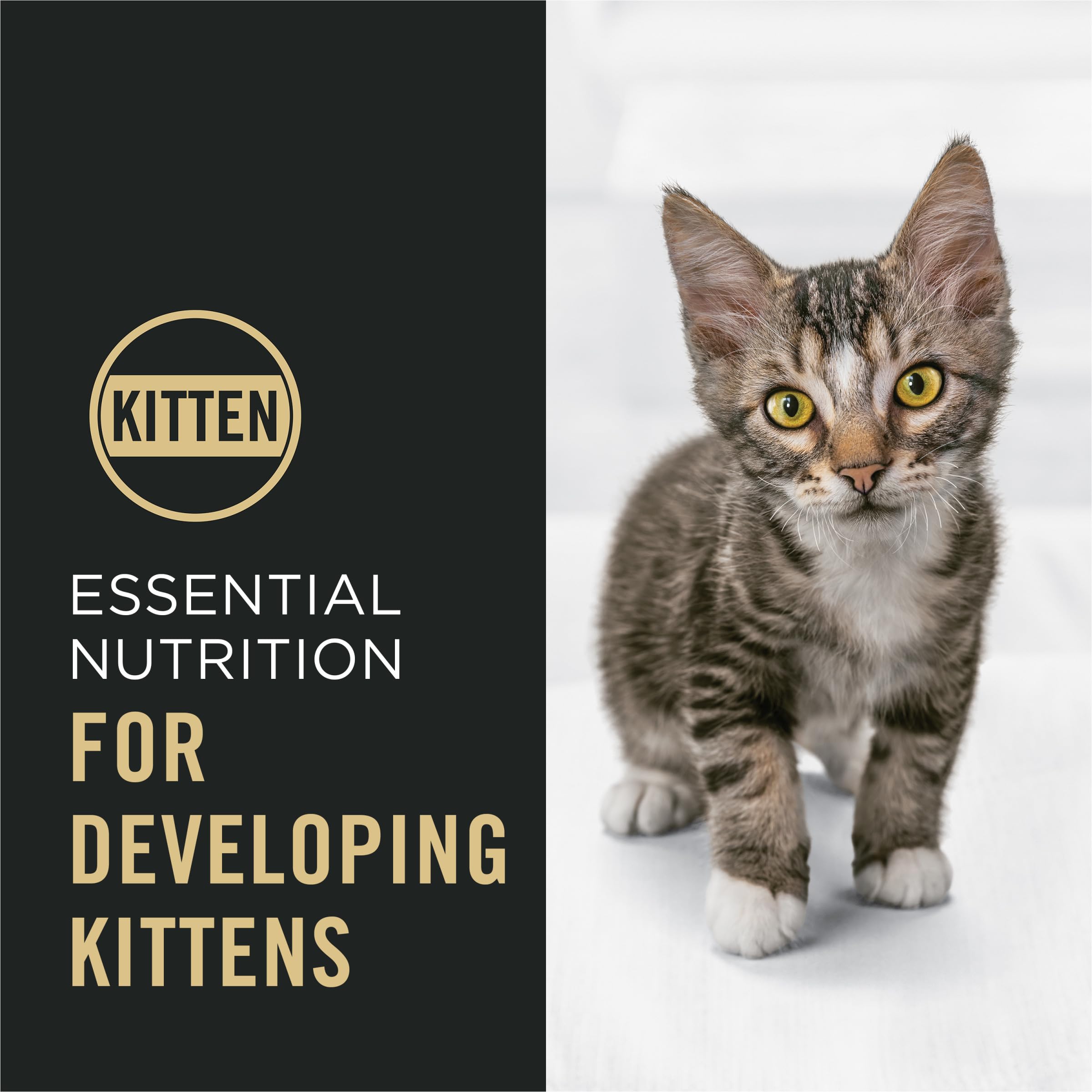 Purina Pro Plan Gatito vitamina A para piel y pelaje saludables.