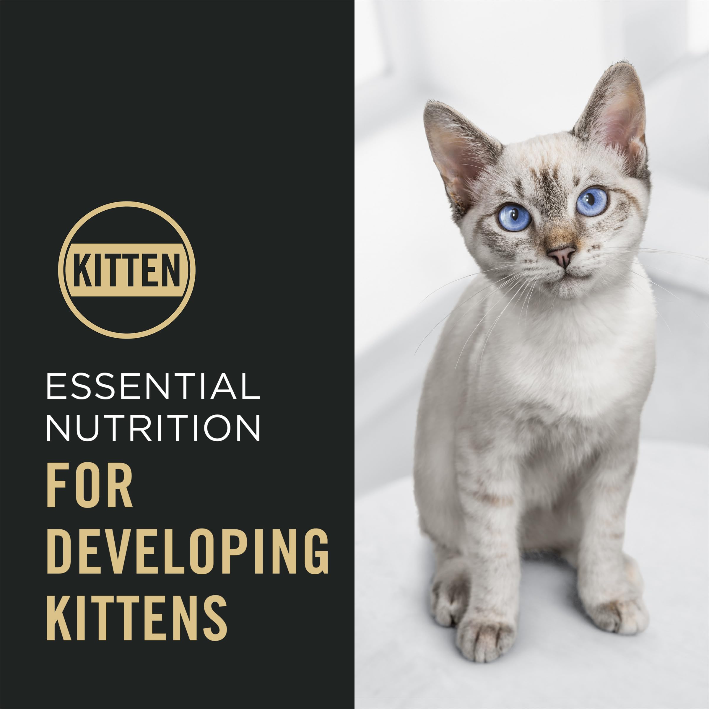 Purina Pro Plan Gatitos DHA para desarrollo cerebral y visión