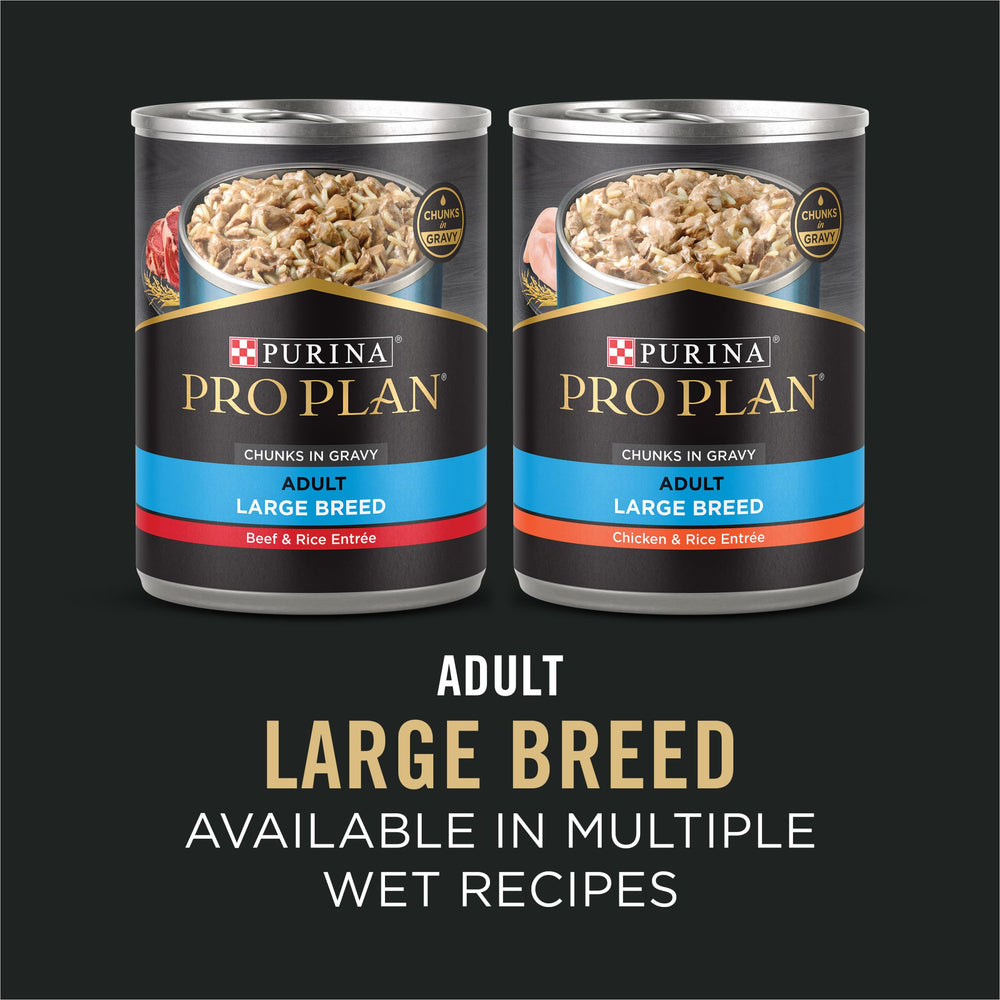 Figura de un perro grande comiendo Purina Pro Plan con pollo y arroz.
