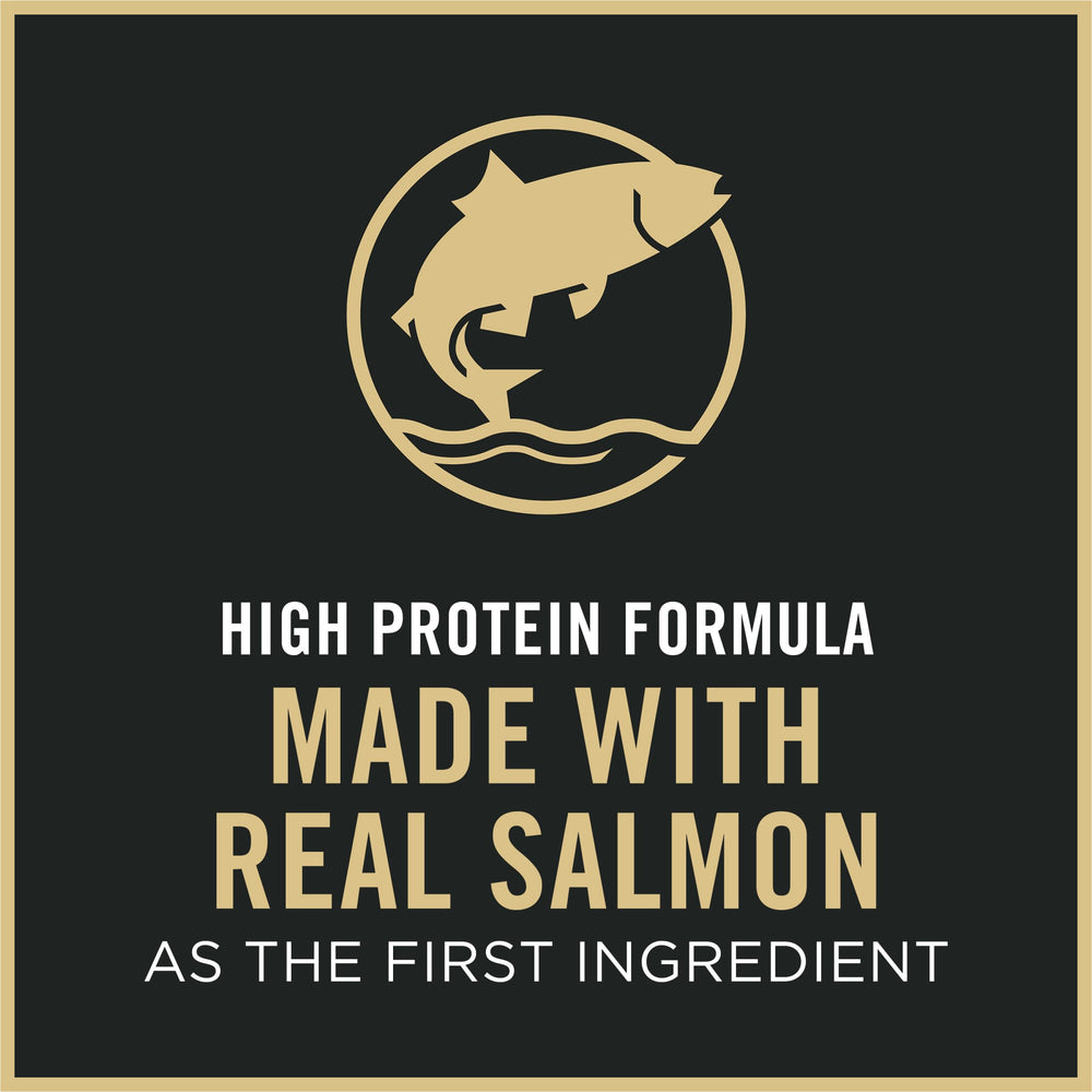 Purina Pro Plan Kitten porciones diarias para dieta equilibrada.