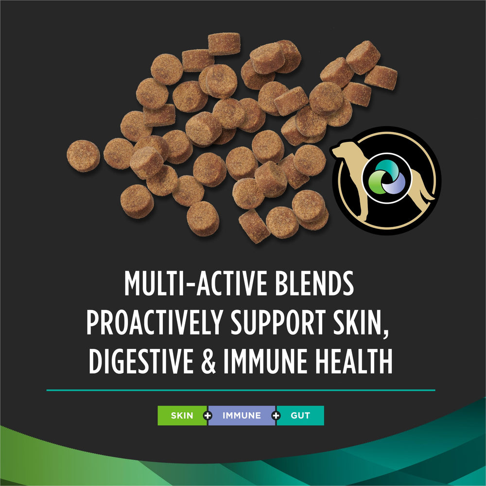 Purina Pro Plan Multi Care, salud digestiva gracias a la mezcla probiótica para perros.