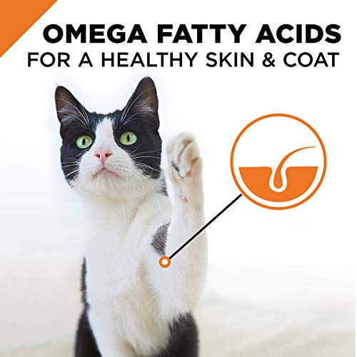 Purina Pro Plan sin grano, alimento húmedo para gatos adultos.