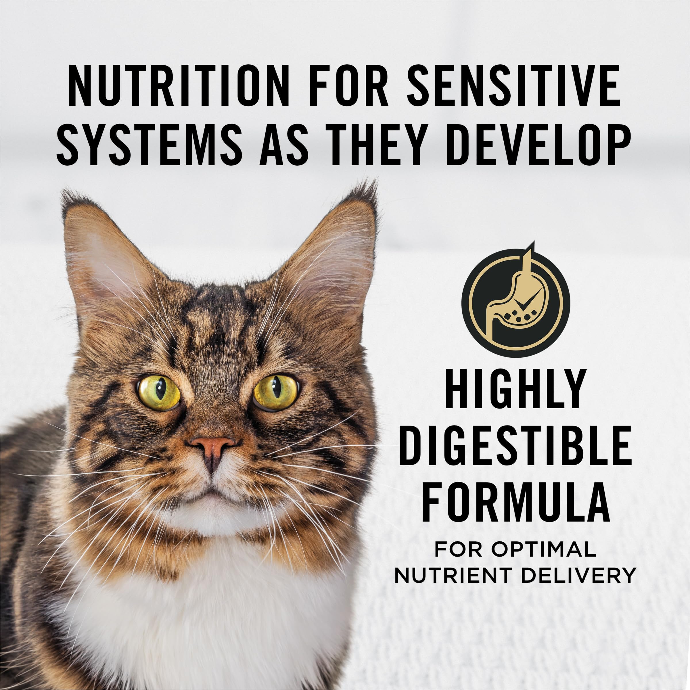 Purina Pro Plan piel sensible, croquetas de salmón, soporte digestivo y nutrición equilibrada.