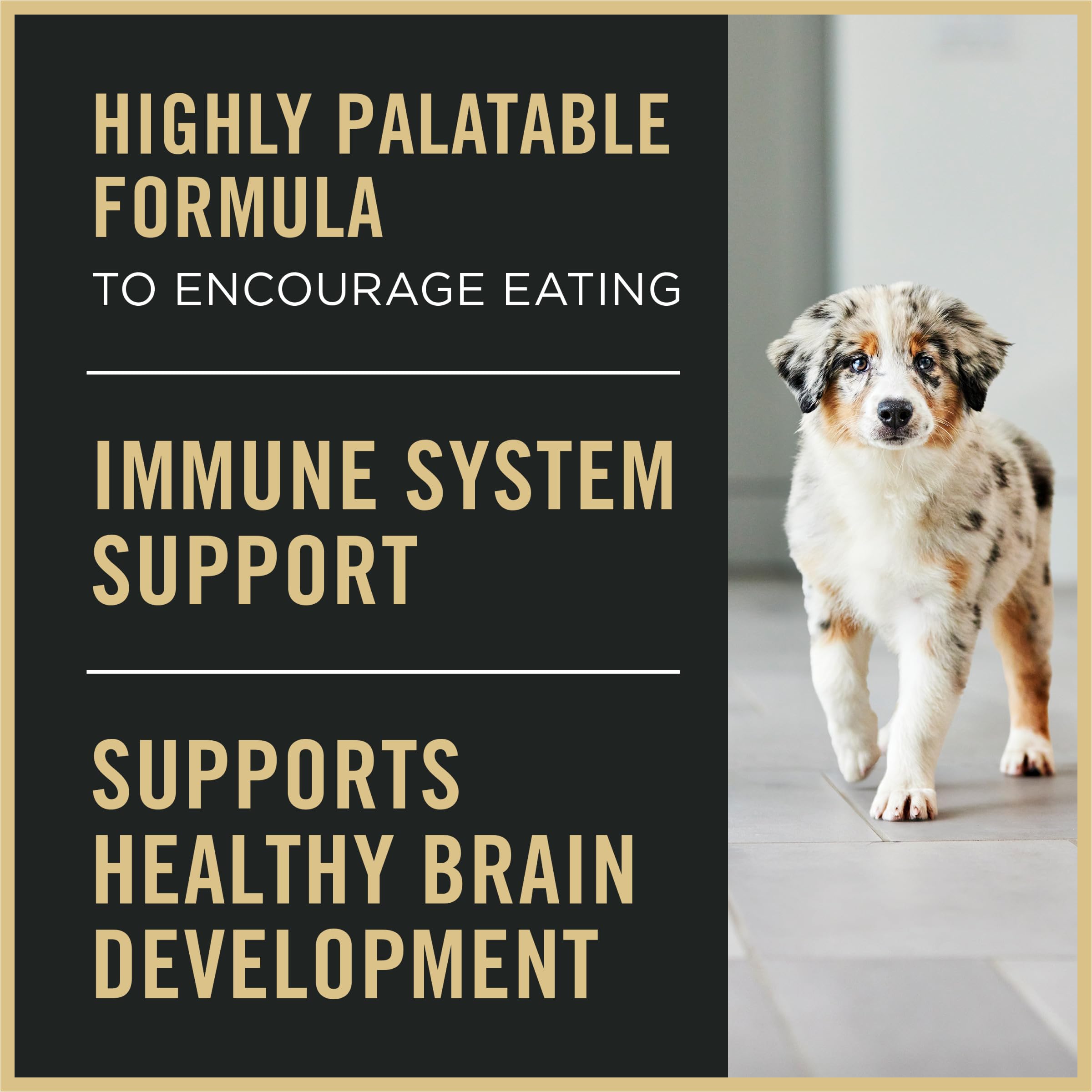 Purina Pro Plan pollo real como ingrediente en comida húmeda para cachorros