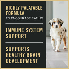 Purina Pro Plan pollo real como ingrediente en comida húmeda para cachorros