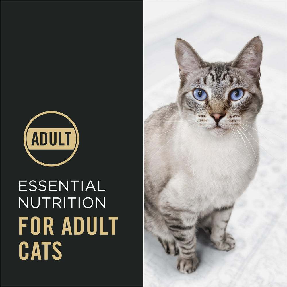Purina Pro Plan croquetas con probióticos vivos para digestión del gato.