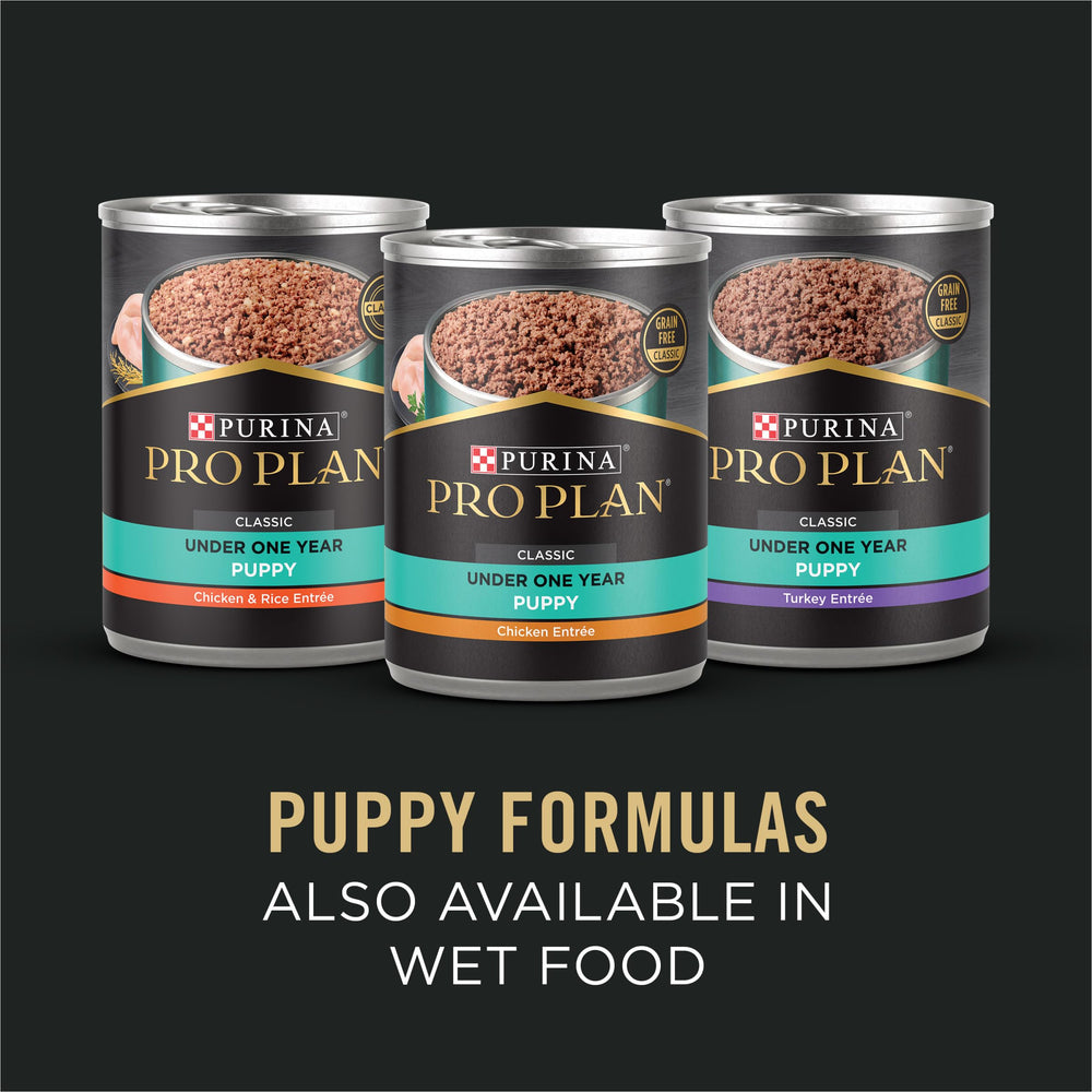Probióticos vivos garantizados en Purina Pro Plan para digestión e inmunidad