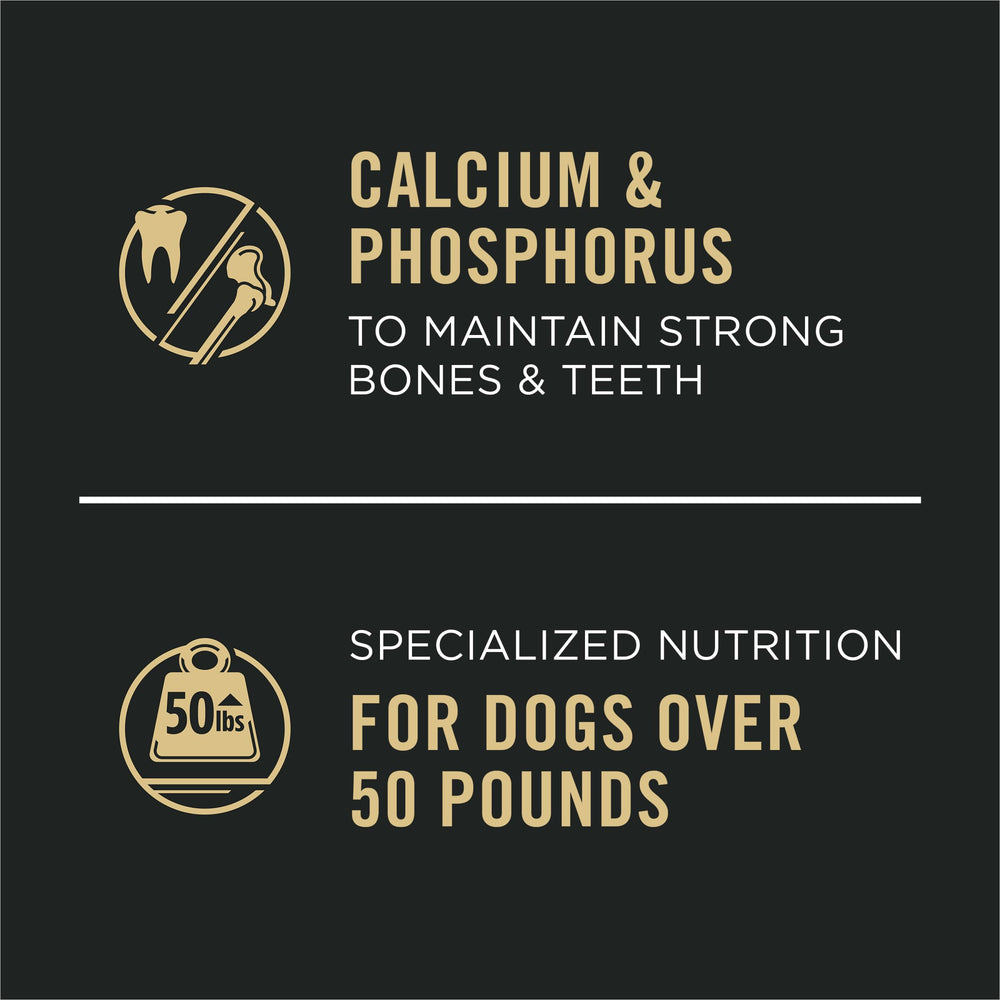 Purina Pro Plan, proteína alta para razas grandes con pollo y arroz